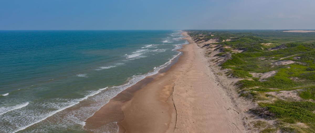 Foto de terreno comercial en venta en cabo rojo , cabo rojo (novillos) [ganadera], tampico alto, veracruz de ignacio de la llave, 0 No. 05